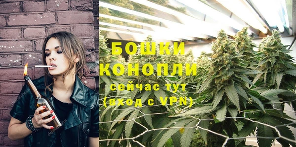 МДПВ Нягань